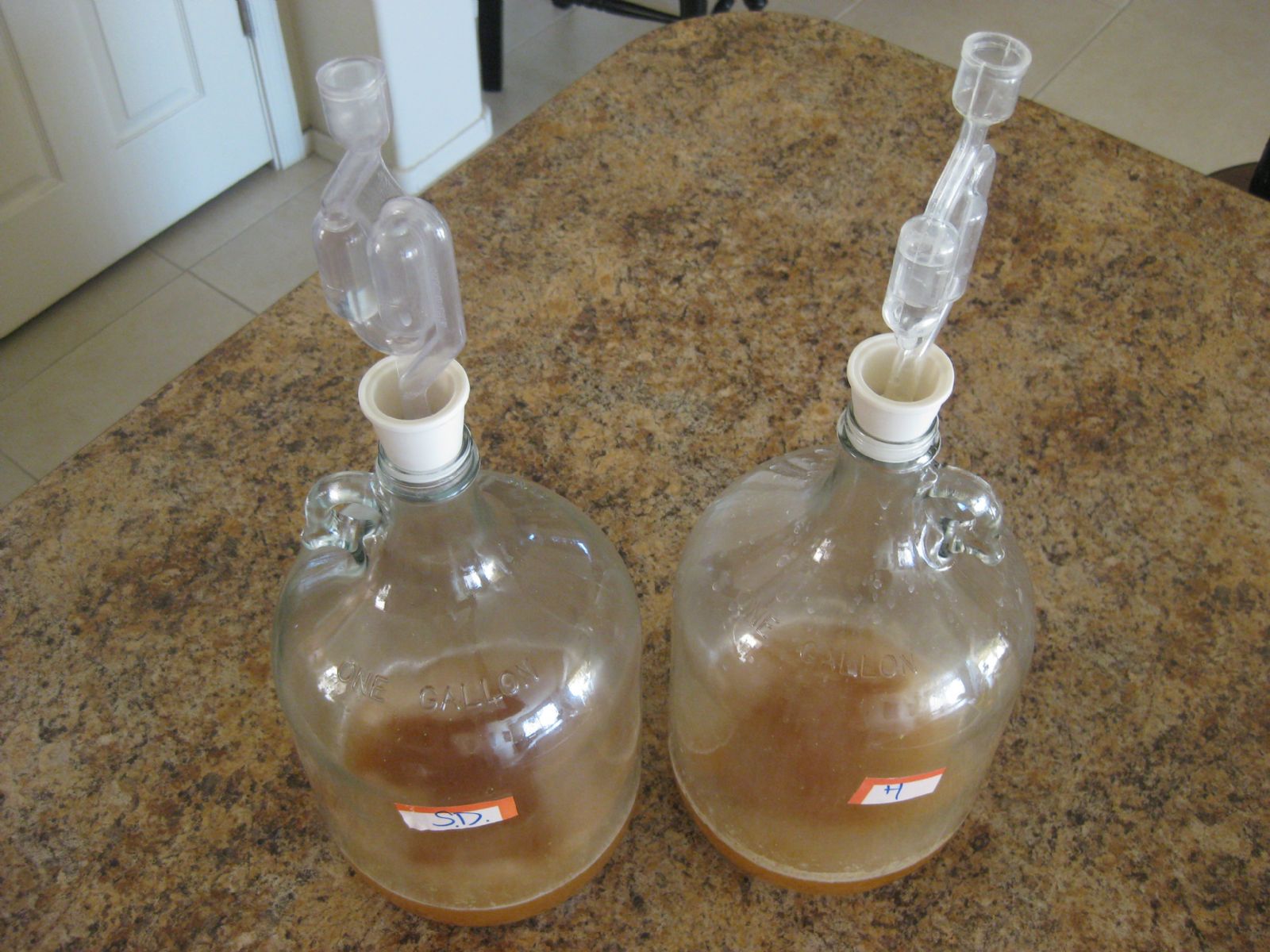 Propagating Yeast in 1 Gallon Jugs with Airlocks